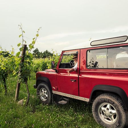 Agriturismo I Mischi Castelnuovo del Garda Kültér fotó