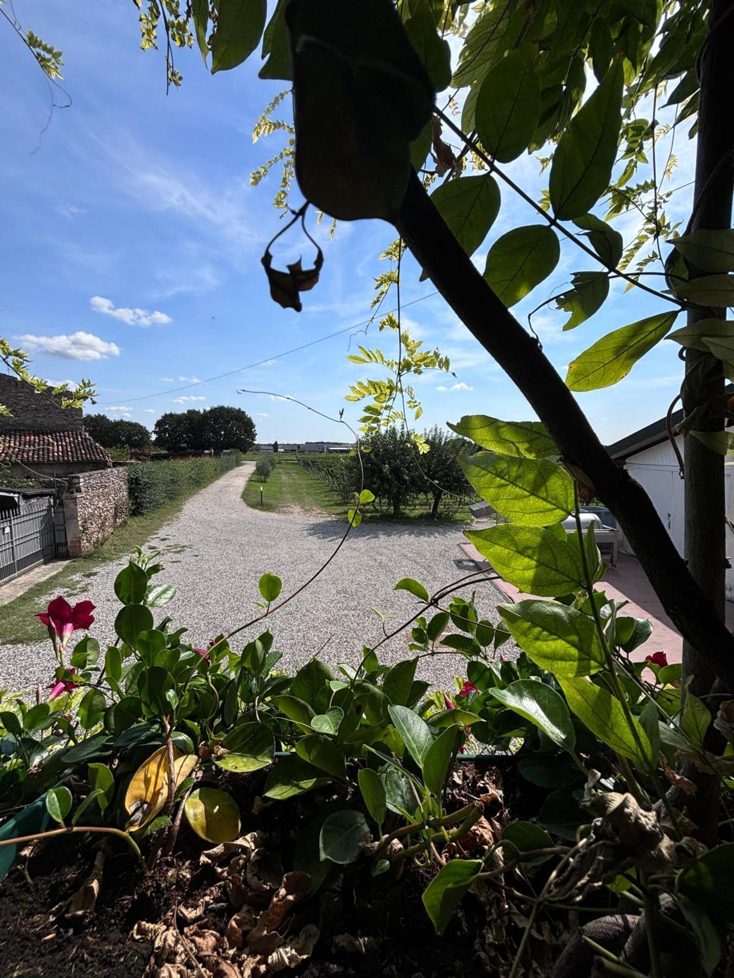 Agriturismo I Mischi Castelnuovo del Garda Kültér fotó